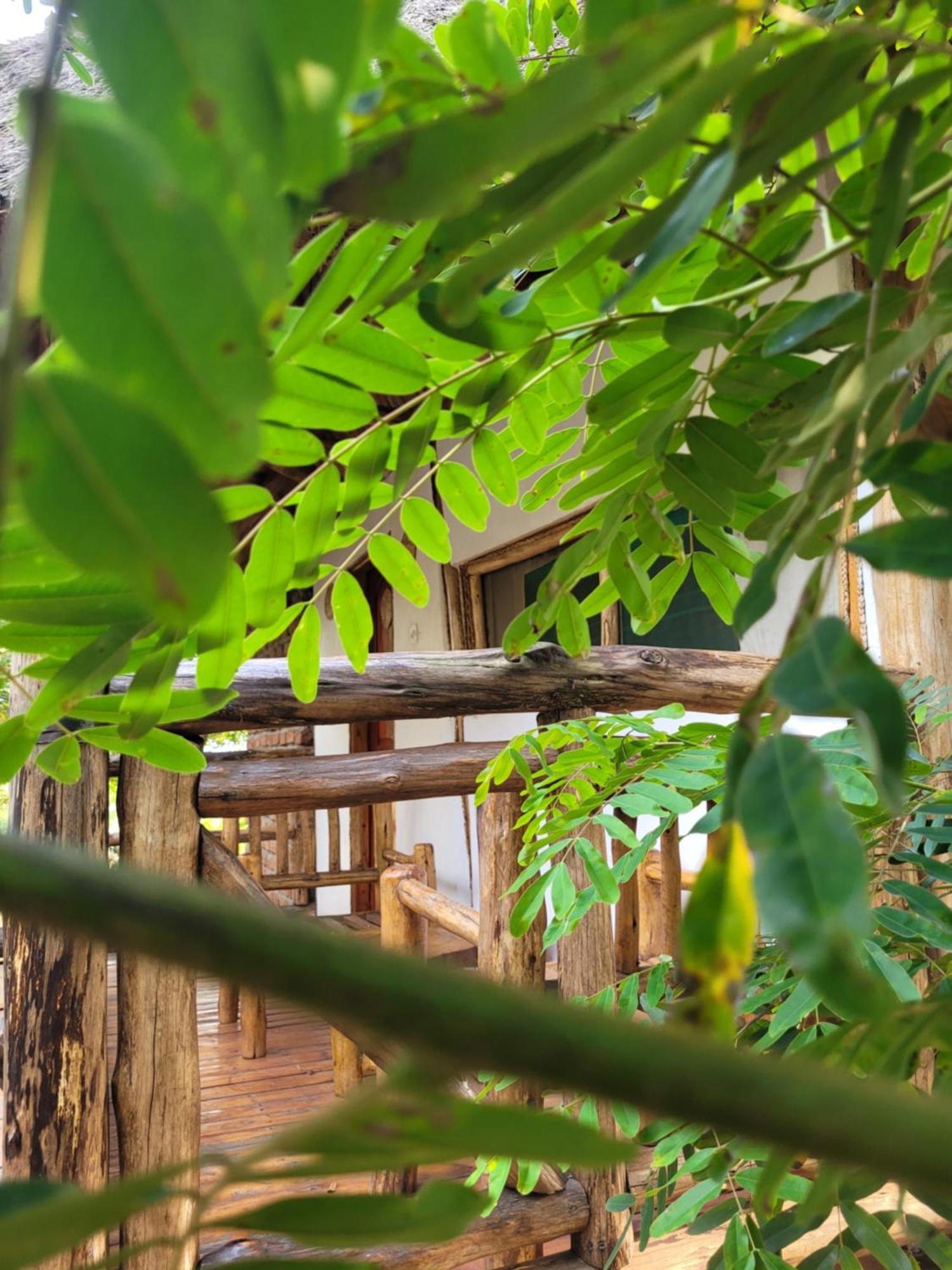 Katunguru Songbird Safari Lodge & Campsite מראה חיצוני תמונה